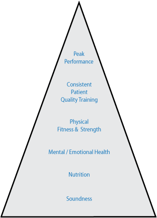 methodology